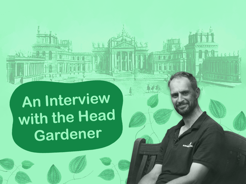 Image of Andy Mills, Head Gardener of Blenheim Palace, with illustration of the palace in background