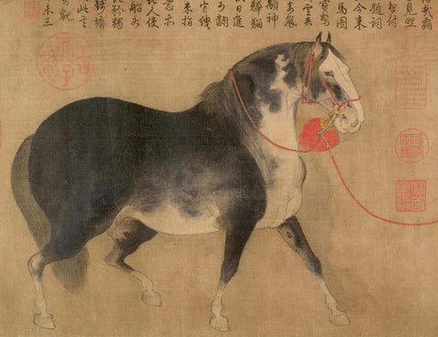 Year of the Horse: Celebrating Lunar New Year