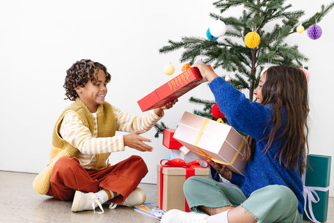 Holiday Gift Guide 2025