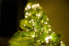 Holiday lights tree